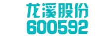 福建龙溪轴承（集团）股份有限公司